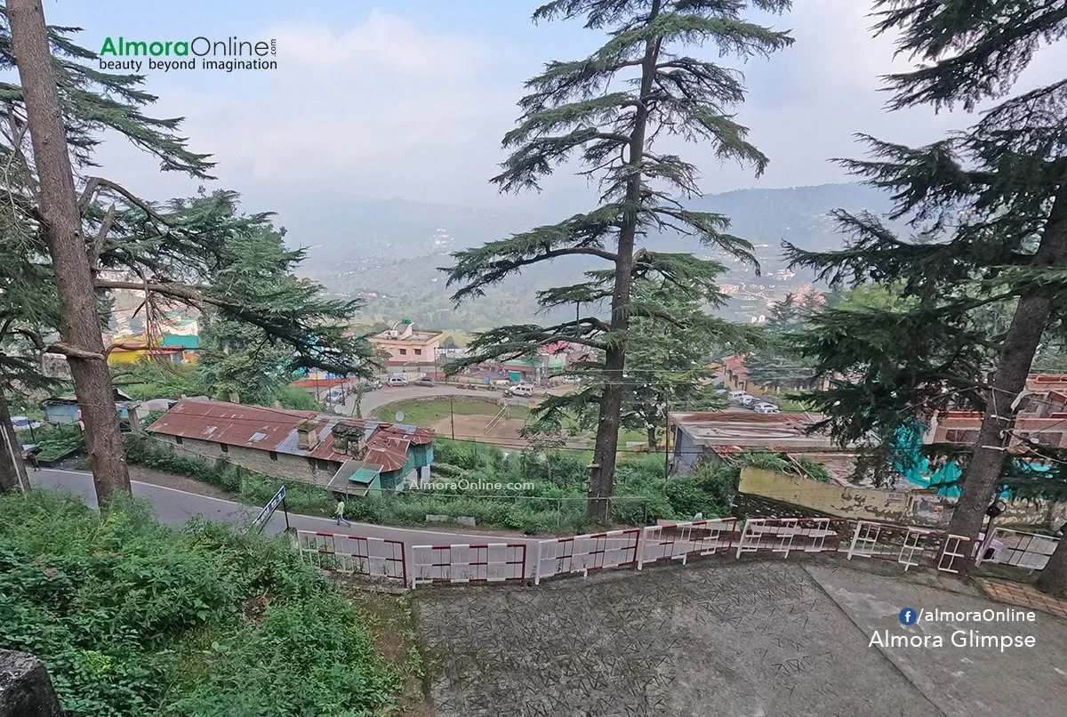 Deodar trees, hillside homes and a winding path in Almora