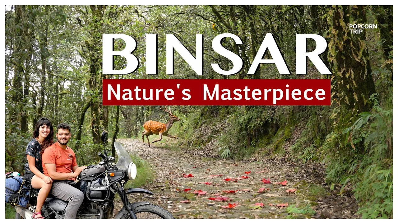 The quieter side of Binsar.