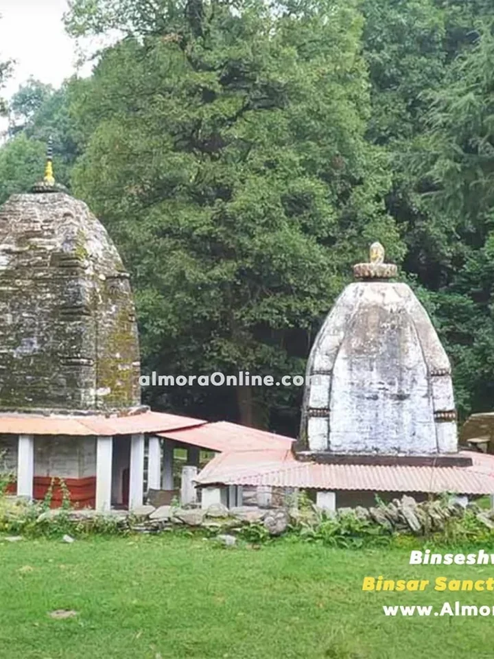 बिंसर, नज़ारों से आगे