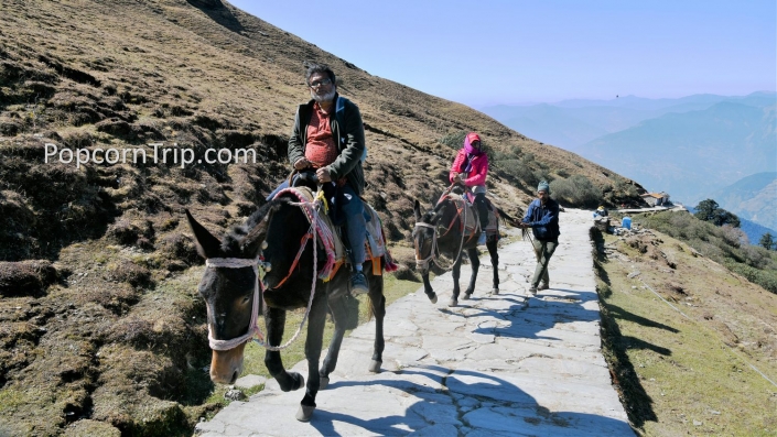 Tungnath Chandrahisal Trek_29 Trekking route to Tungnath