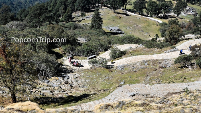 Tungnath Chandrahisal Trek_31 Tungnath trekking route