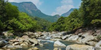 kerala travel