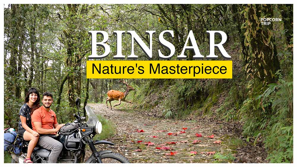 Binsar video