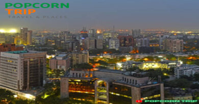 delhi image